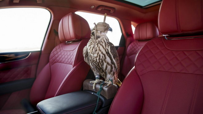 Nejdražší SUV světa teď komfortně odveze i vzácné zvíře, cenou se mu nevyrovná