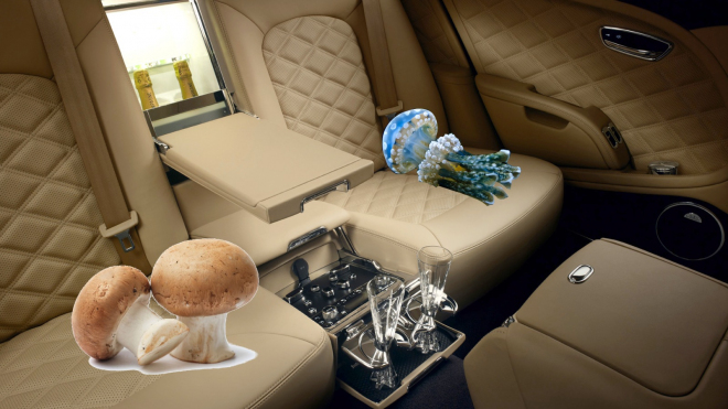 Bentley nabídne interiéry z hub a medúz. Vrchol opulence? Ne tak docela