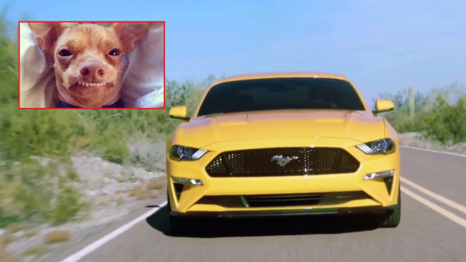 Ford zpackal facelift Mustangu, model 2018 vypadá jak slavný pes