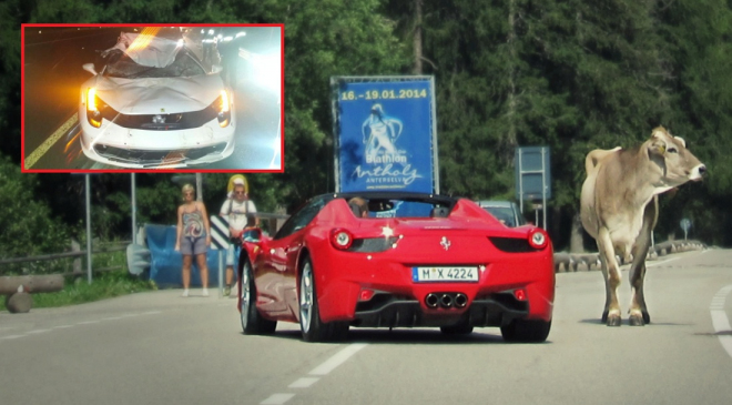 Takhle to dopadne, když autem srazíte krávu na dálnici. Ve Ferrari