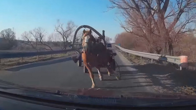 Takhle to vypadá, když vám na silnici vlétne pod kola kůň-kamikaze (video)