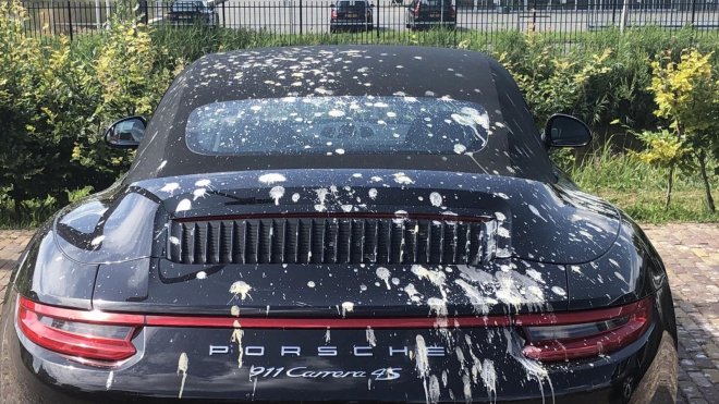 Na Porsche 911 se vyřádilo hejno ptáků, něco takového se hned tak nevidí