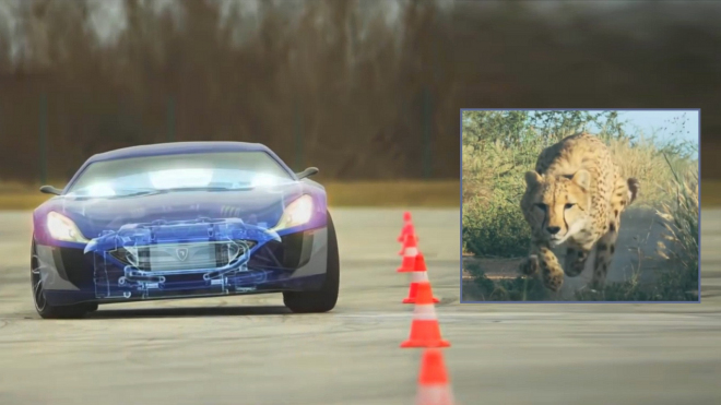 Jak dostává přes 1 000 koní na asfalt elektrický Veyron? Vzor našel v přírodě