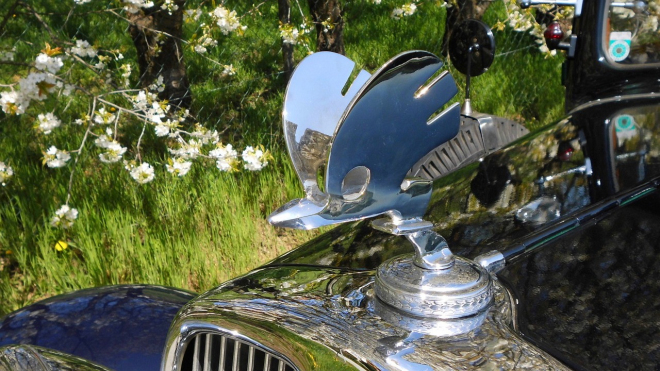 Jedna z nejdražších Škod stojí 4,1 milionu Kč. Luxusní stroj má znak jako Rolls-Royce
