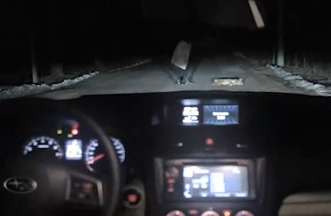 Psi za možnost řídit Subaru XV fingují i vlastní smrt (video)