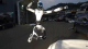 Zatímco v EU dál sedláme mrtvého koně, Číňané udělali robota, který ve stylu kung-fu likviduje auta na vrakovišti. Jde z něj až trochu strach