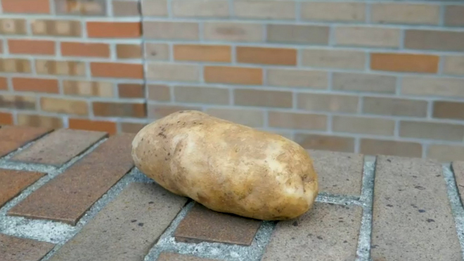 Může obyčejná brambora opravdu zcela zamezit mlžení skel? Podívejte se