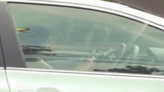 Jak si hrát s telefonem a řídit současně? Zkuste více zapojit nohy (video)