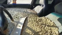 Muž nechal manželce napustit auto betonem. Důvod je skutečně bizarní (video)