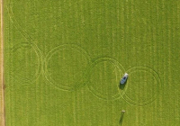 Opravdu velký fanda Audi vyjezdil s RS6 Avant čtyři kruhy v obilí (foto)