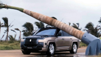 Číňané hodili na své auto vzrostlý palmový strom a zkusili s ním dál jezdit. Podívejte se, jak dopadli