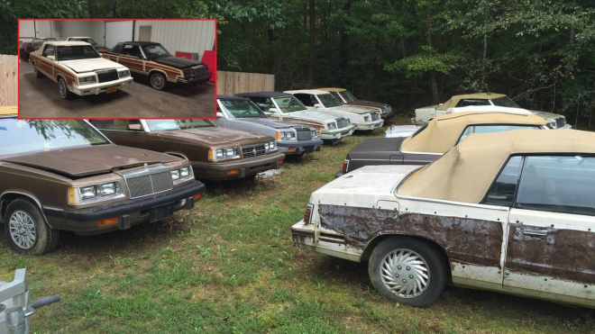 Tento člověk má 22 kusů jednoho a toho samého auta, teď je všechny prodává