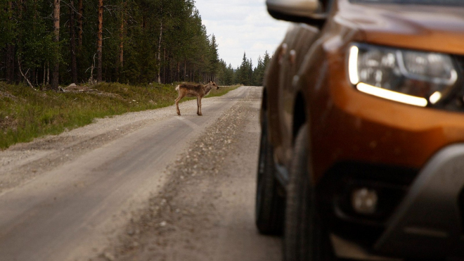 Už 5. nejprodávanější auto Evropy zazářilo v divočině, jeho schopnosti ale Dacia přiohnula