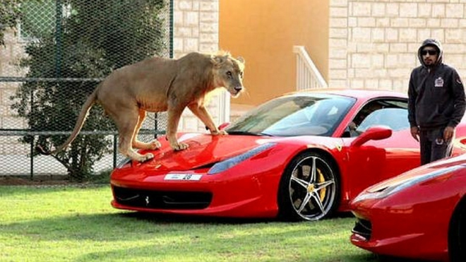 Zákazníci loni vystřelili Ferrari k rekordním ziskům, na objem produkce až absurdním