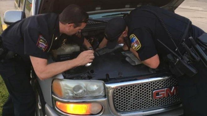 Když vám nejde nastartovat auto, dávejte pozor při otevírání kapoty. Může tam čekat překvapení