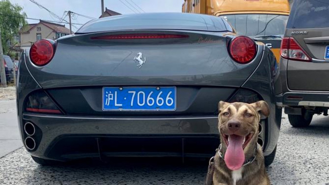 Čínský majitel Ferrari chrání své auto před zloději velmi neobvyklým způsobem