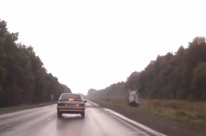 Lada Samara vs. jelen-sebevrah: 0:1 (video)