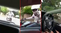 Agresivní motorkář chtěl za jízdy „seřvat” řidiče, dojel na to záhy (video)