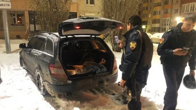 Ruská policie naletěla na klasický halloweenský žertík, řidiče stejně zatkla