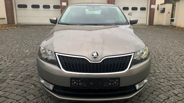K mání je dodnes nejetá Škoda Rapid s naftu srkajícím TDI, je to levné a úsporné auto na hodně dlouho