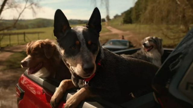 Zakázaná reklama Toyoty ukazuje v plné nahotě absurditu dnešní doby, i čtyřleté dítě přece musí chápat, o co tu jde