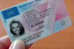 V Americe chtějí legálně za volant aut pustit už 15 let staré řidiče, argumentují zvýšením bezpečnosti