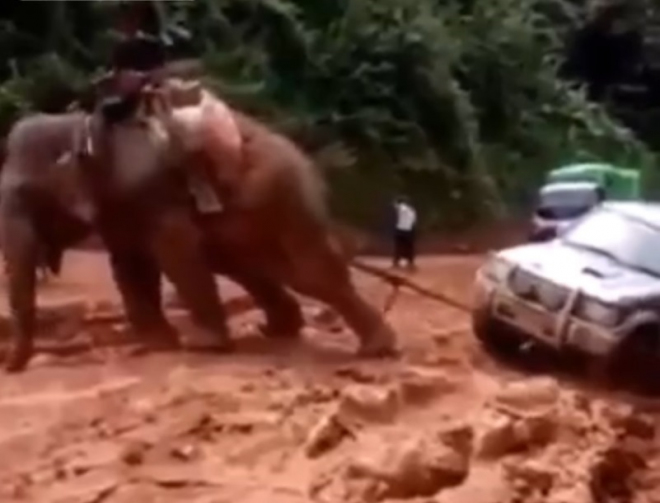 Tam, kde končí možnosti i poctivého off-roadu, přichází ke slovu... slon (video)