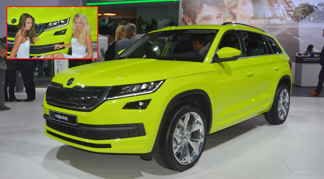 Takhle vypadá stánek Škody v Paříži. Smečce medvědů vládne žlutý samec