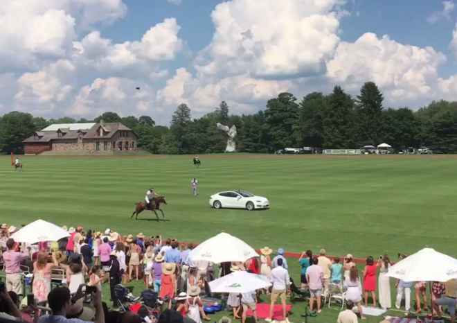 Tesla Model S a Model X vs. kůň: není to tak jasné, jak čekáte (video)