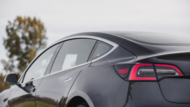 Elon Musk velebil schopnost Tesly odolat pádu stromu, herečka z bondovek ukázala krutou pravdu
