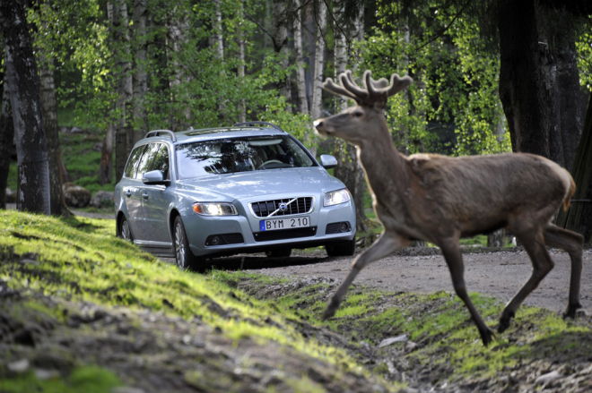 Volvo chystá autopilota, systém detekující zvěř a zabraňující kolizím v křižovatkách